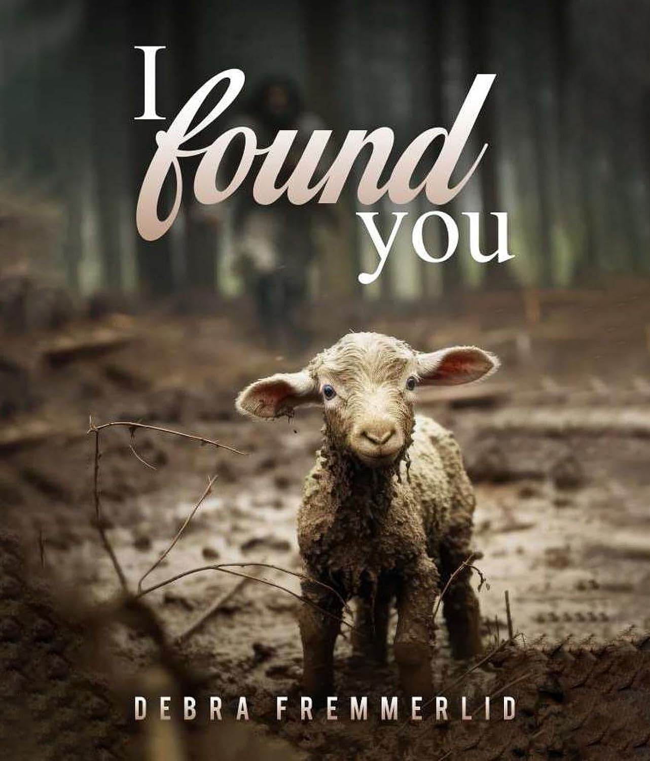 I Found You by Debra Fremmerlid - book cover